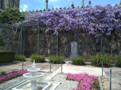 Прикрепленное изображение: IMG_20220507_124949.jpg